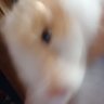 Kaizuuu。*♡'s profile picture