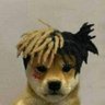 seiya_updates's profile picture