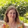 Heidi Steinberg 🌻🌻's profile picture