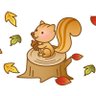 すきゅあ🐿🌙 profil fotoğrafı