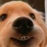◖ ʷⁱᵗᵒʳᵒ ☂◗ 的头像
