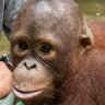 Profilbild von derekmonkeyman
