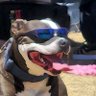 Dr. Rufus T. Barleysheath 📟's profile picture