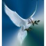 Justice pour tous's profile picture