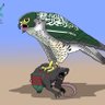 🇸🇦 عبدالرحمن الشهري 🇸🇦's profile picture