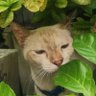 ตินตินจะไม่ทน profil fotoğrafı