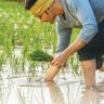 ರೈತ / Farmer's profile picture