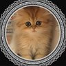 Фото профиля たそきち