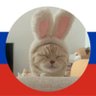 ядовитый город's profile picture