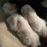 yuYuu. profil fotoğrafı