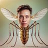 Profilbild von ๐น๐ฉ ๐ช๐บElon Mosquito ๐ฌ๐ง๐บ๐ฆ๐บ๐ฆ
