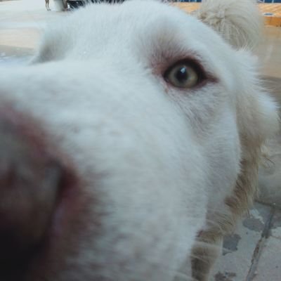 ความลับ's profile picture