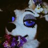 SpicyGarbageBun🔞's profile picture