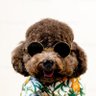 Profilbild von Calamardo's play