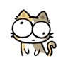 菠菜www's profile picture