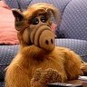 kingALF2005🎗️ 的头像