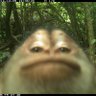 Profilbild von 🚀