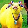 Profilbild von ศูนย์บำบัดสมองสลิ่มควายแดง84,000เซล