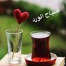 Profilbild von صالح 🇰🇼