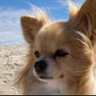 Profilbild von W