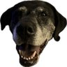 Profilbild von Alandogtown