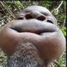 blicksan's profile picture