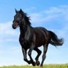 الشريف عمر's profile picture