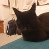 John Roberts profil fotoğrafı