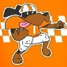 Фото профиля Chris McGee🇺🇲🍊When Does TN Baseball Start🍊🇺🇸