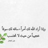 مها السالم's profile picture