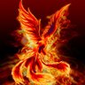 Profilbild von Fênix★彡
