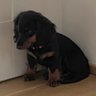 Lilo 的头像