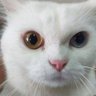 wanlerm's profile picture