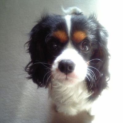 i4CXbFKvwRUpJs0's profile picture
