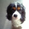 おばんA's profile picture