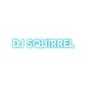 Фото профиля DJ Squirrel