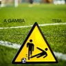 Gabriele Brunetti's profile picture