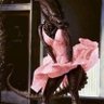 KØTTØ (NEW ACCOUNT!)'s profile picture