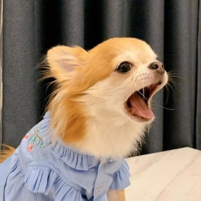 บูชา's profile picture