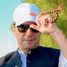 Mujahid Niaz Qureshi's profile picture