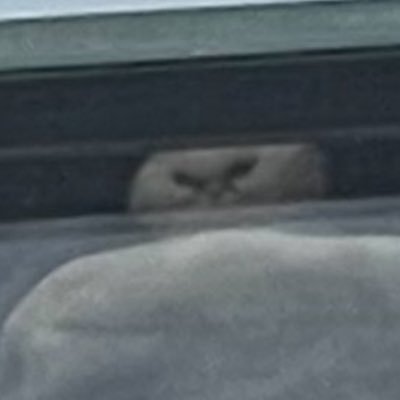 stateoftay16's profile picture