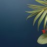 🌱 – 00L 🇵🇸 的头像
