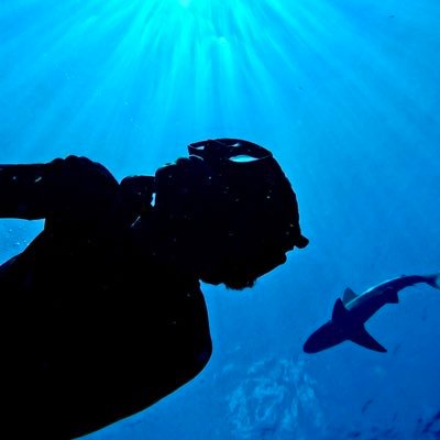 spencer 🦈's profile picture