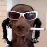 philthepower 🇬🇧💪's profile picture