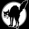 P. Tinto's profile picture