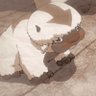 Mimosa's profile picture