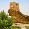 Profilbild von ابن الاحقاف