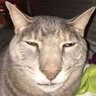 doodoofard profil fotoğrafı