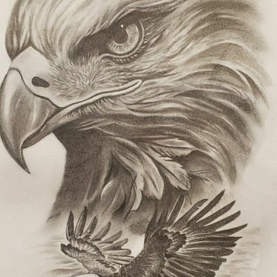 DZ97344655's profile picture