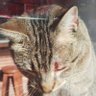 Un Garabato profil fotoğrafı